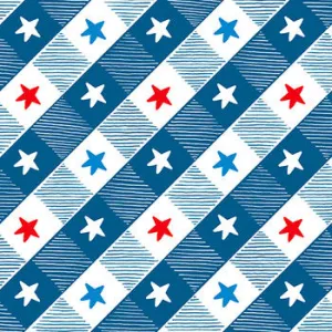 All American Gnomes Blue - (1)