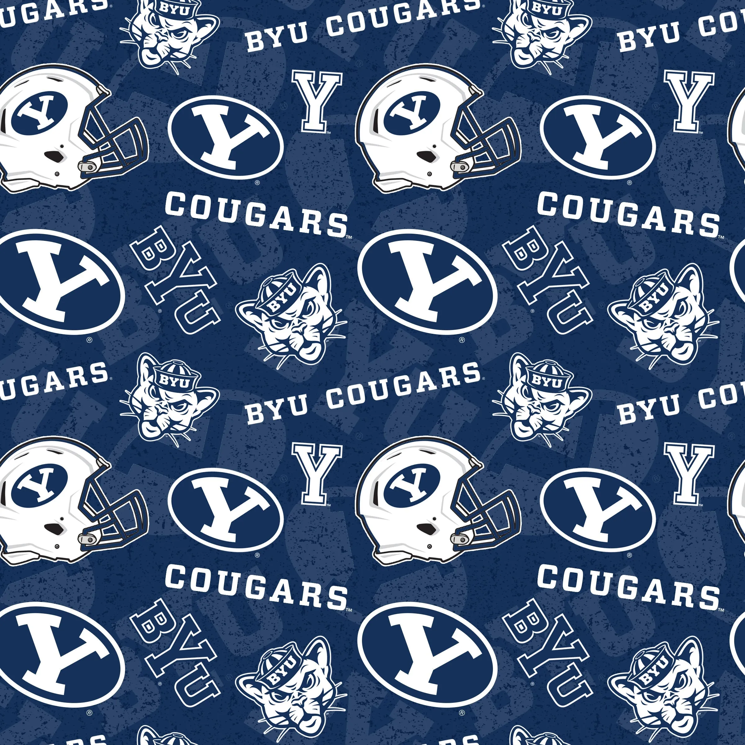 Brigham Young University BYU1178