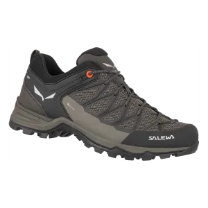 Chaussures de randonée Salewa Mountain Trainer Lite GTX Hommes