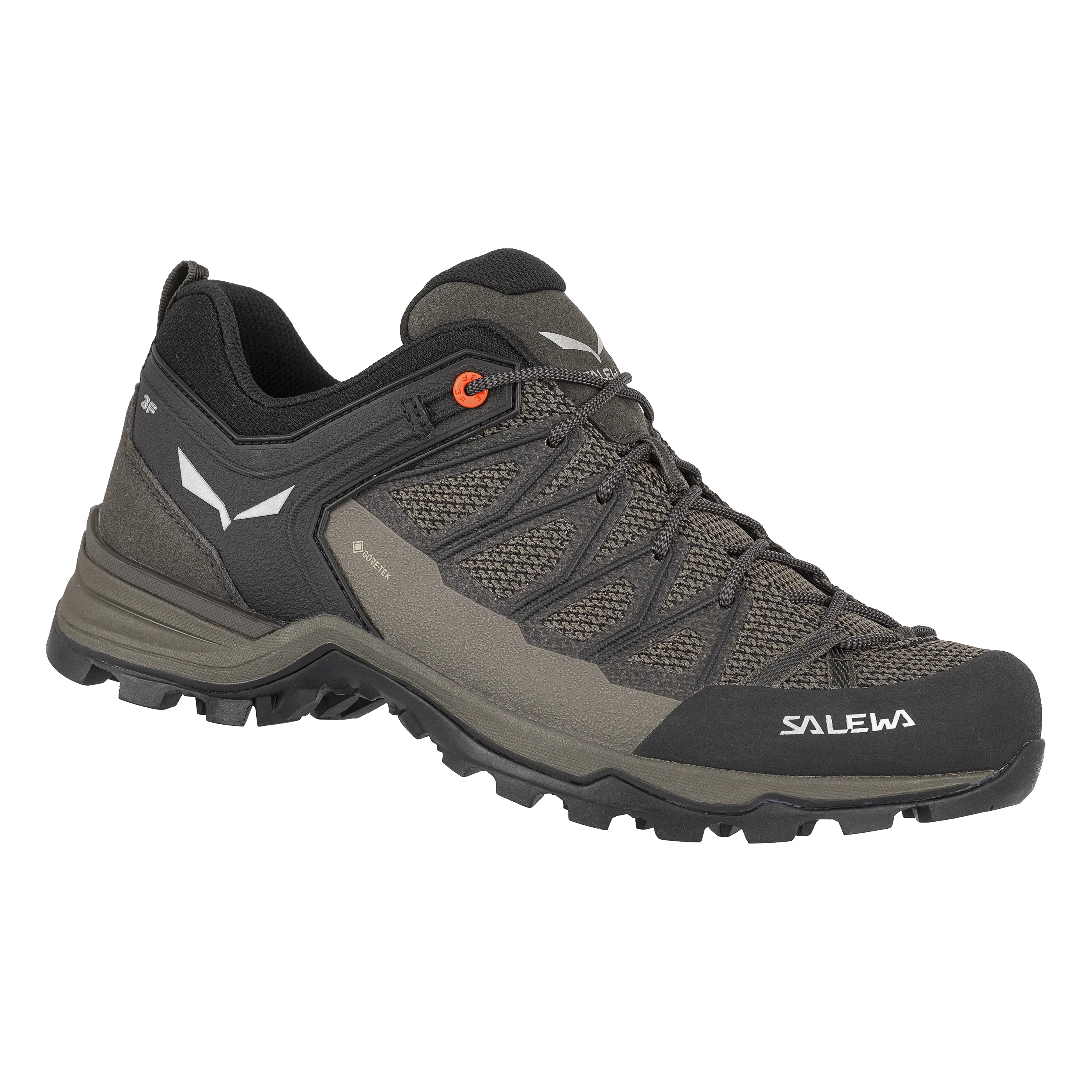 Chaussures de randonée Salewa Mountain Trainer Lite GTX Hommes