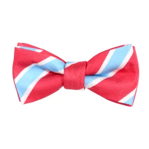 Classic Blue and Coral Stripe Magnetic Bow Tie