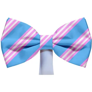 Classic Light Blue and Pink Magnetic Bow Tie