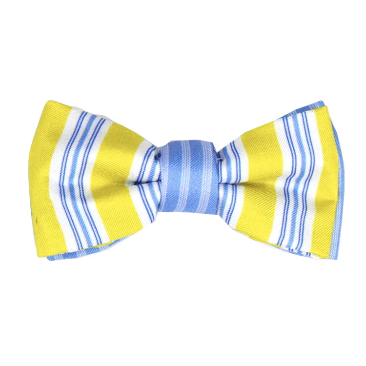 Classic Yellow and Blue Pinstripe Magnetic Bow Tie Junior