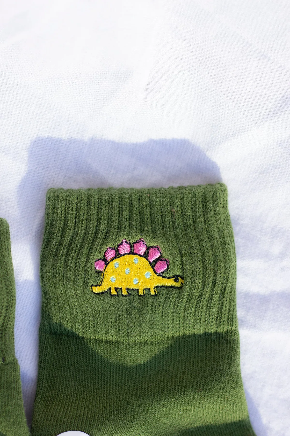 Dinosaur Embroidered Socks