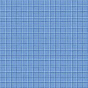Dorothy's Journey Plaid Blue