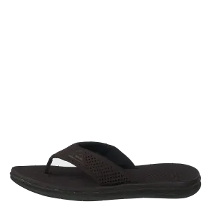 Haleiwa Plus Brown/brown/brown