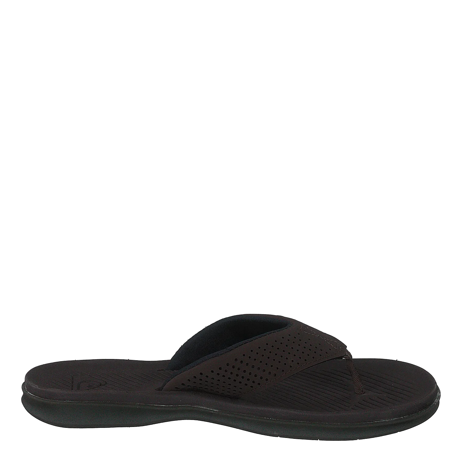 Haleiwa Plus Brown/brown/brown