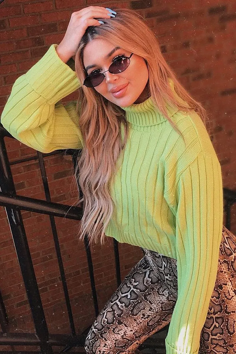 Lime Wide Rib Roll Neck Jumper - Joyanna