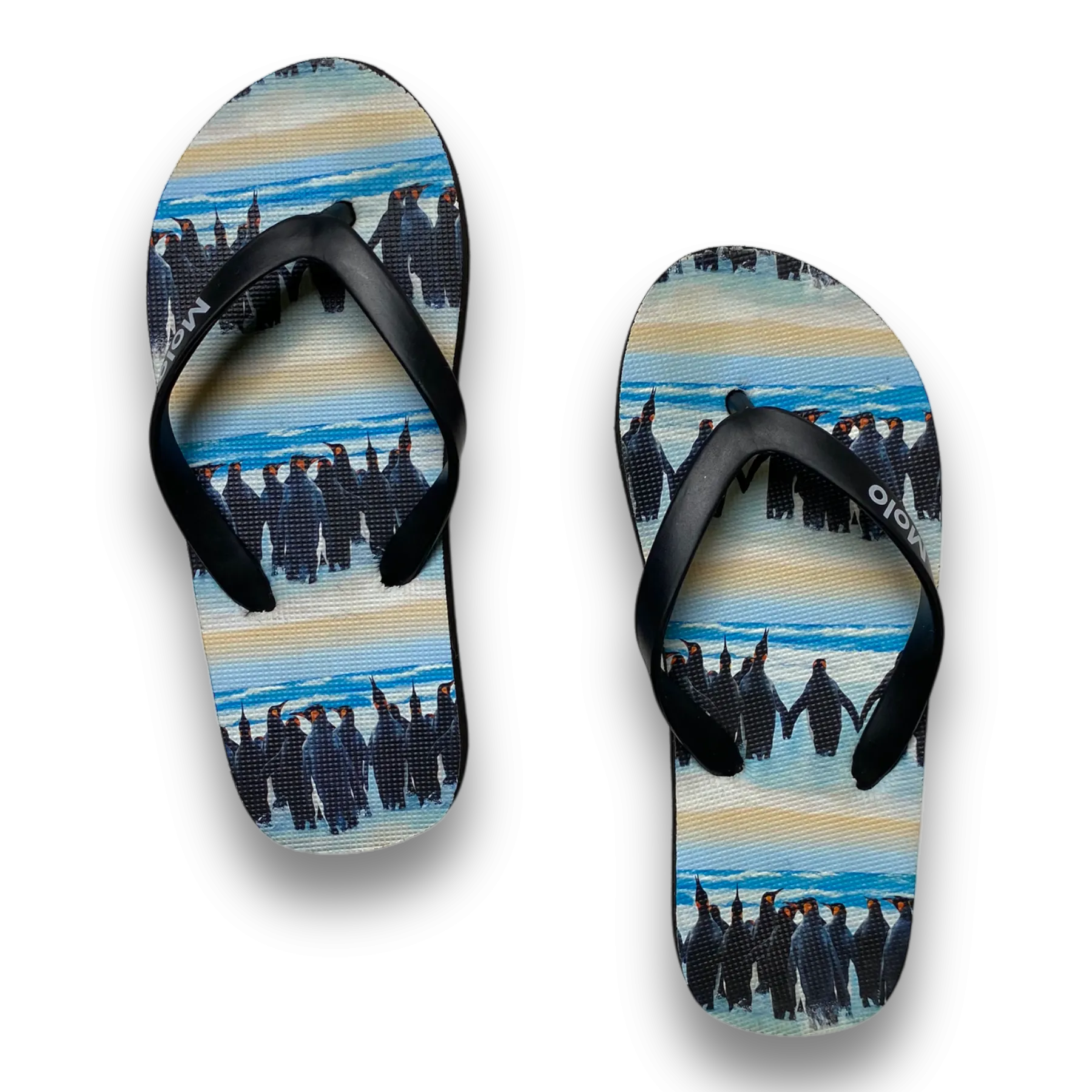 Molo flip flops, penguin | 26/27