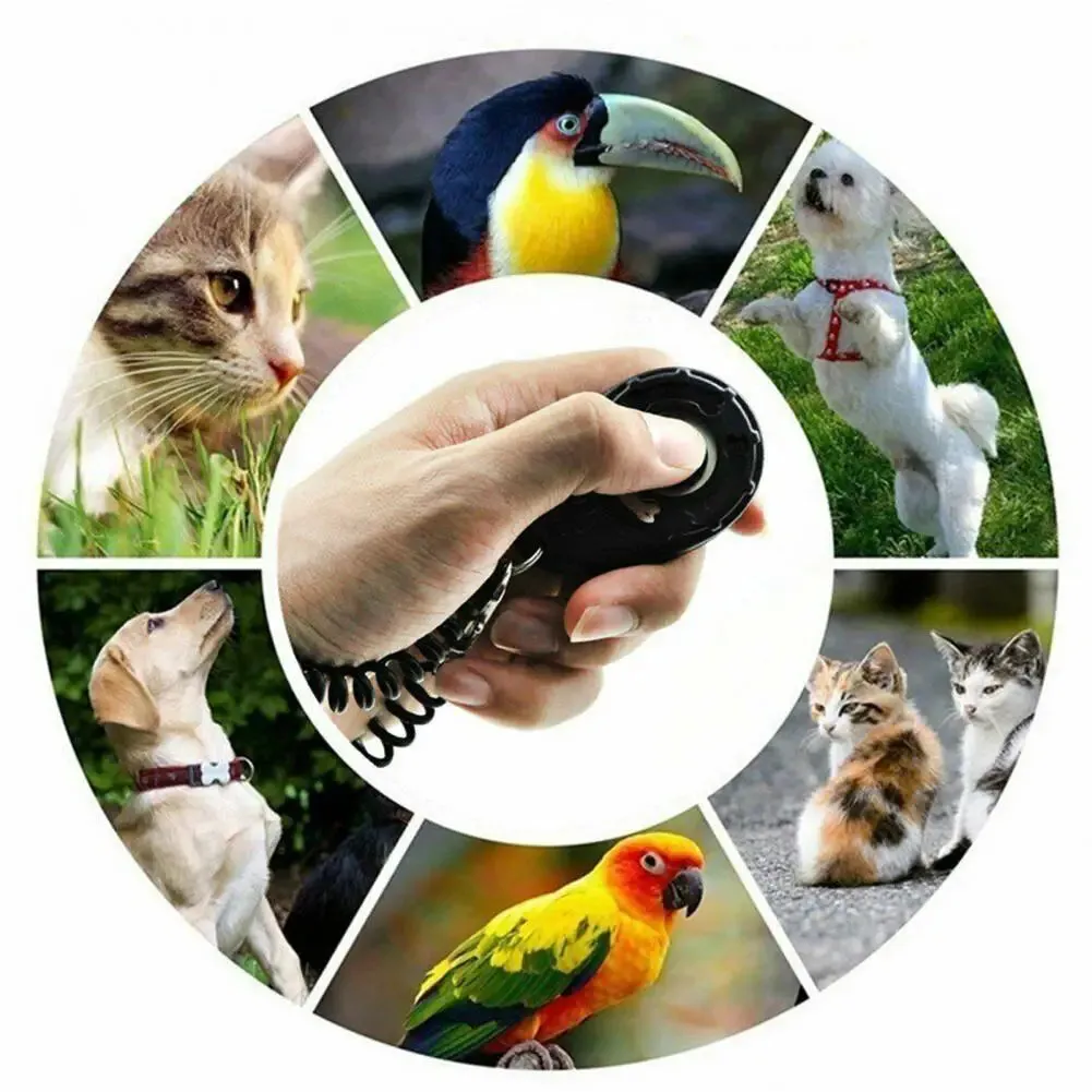 Pet Dog Trainers Oval Shape Elastic ABS Dog Training Clicker For Outdoor Puppy Kitten Cat Training Clicker Trainer Wrist Strap