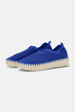 Platform Tulip Skor - Blue Web