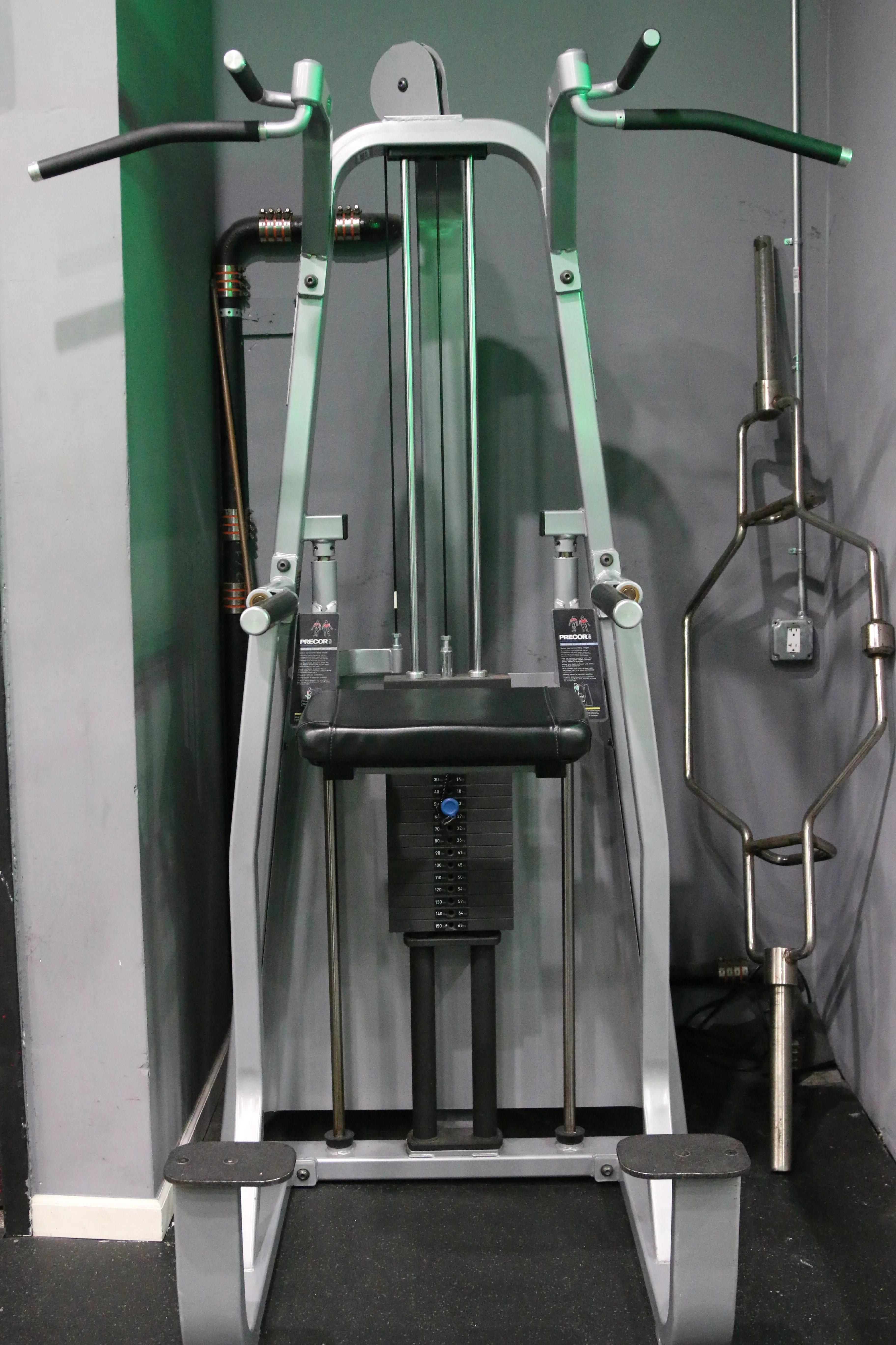 Precor Icarian Dip Chin Assist 320 - Icarian Series