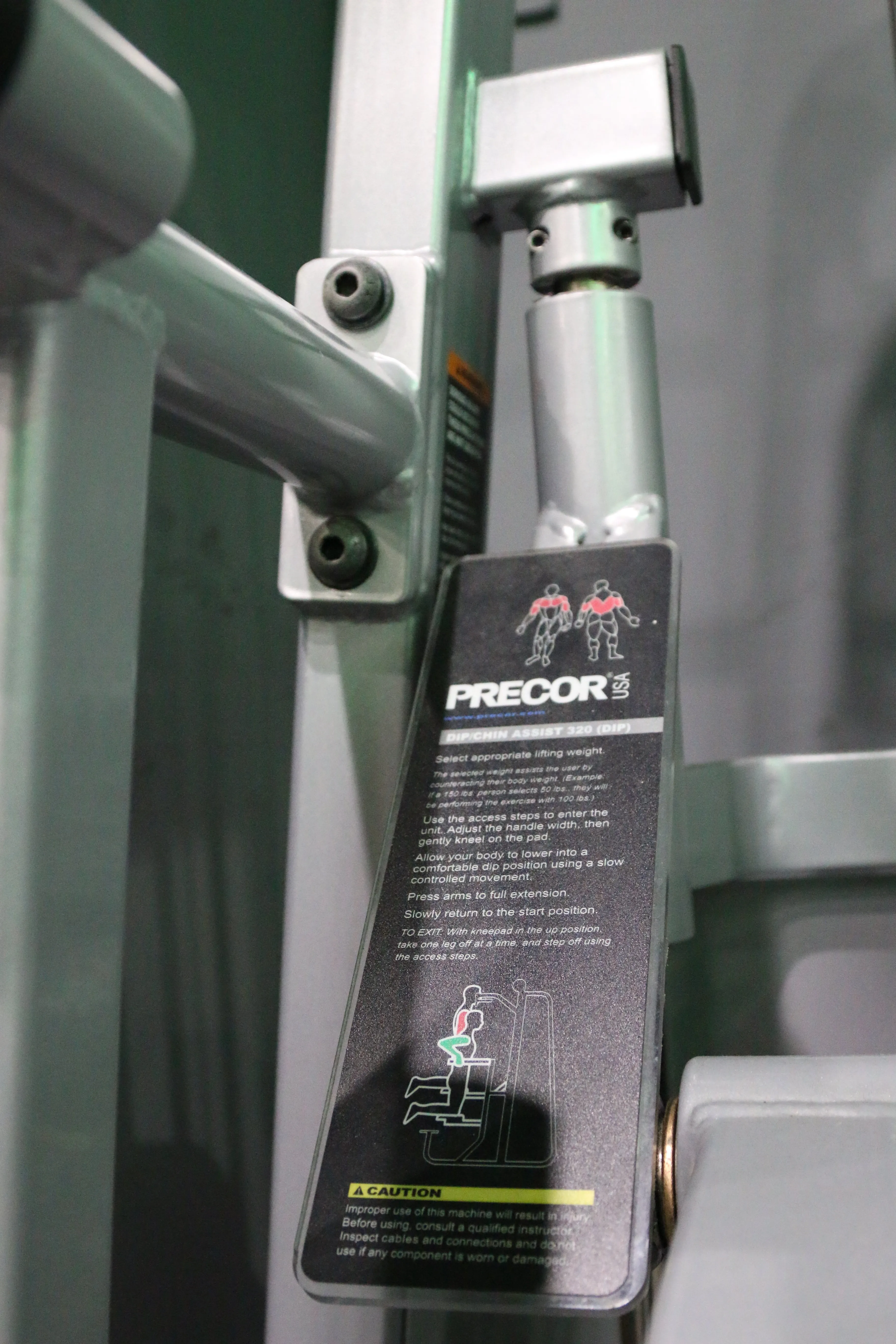 Precor Icarian Dip Chin Assist 320 - Icarian Series
