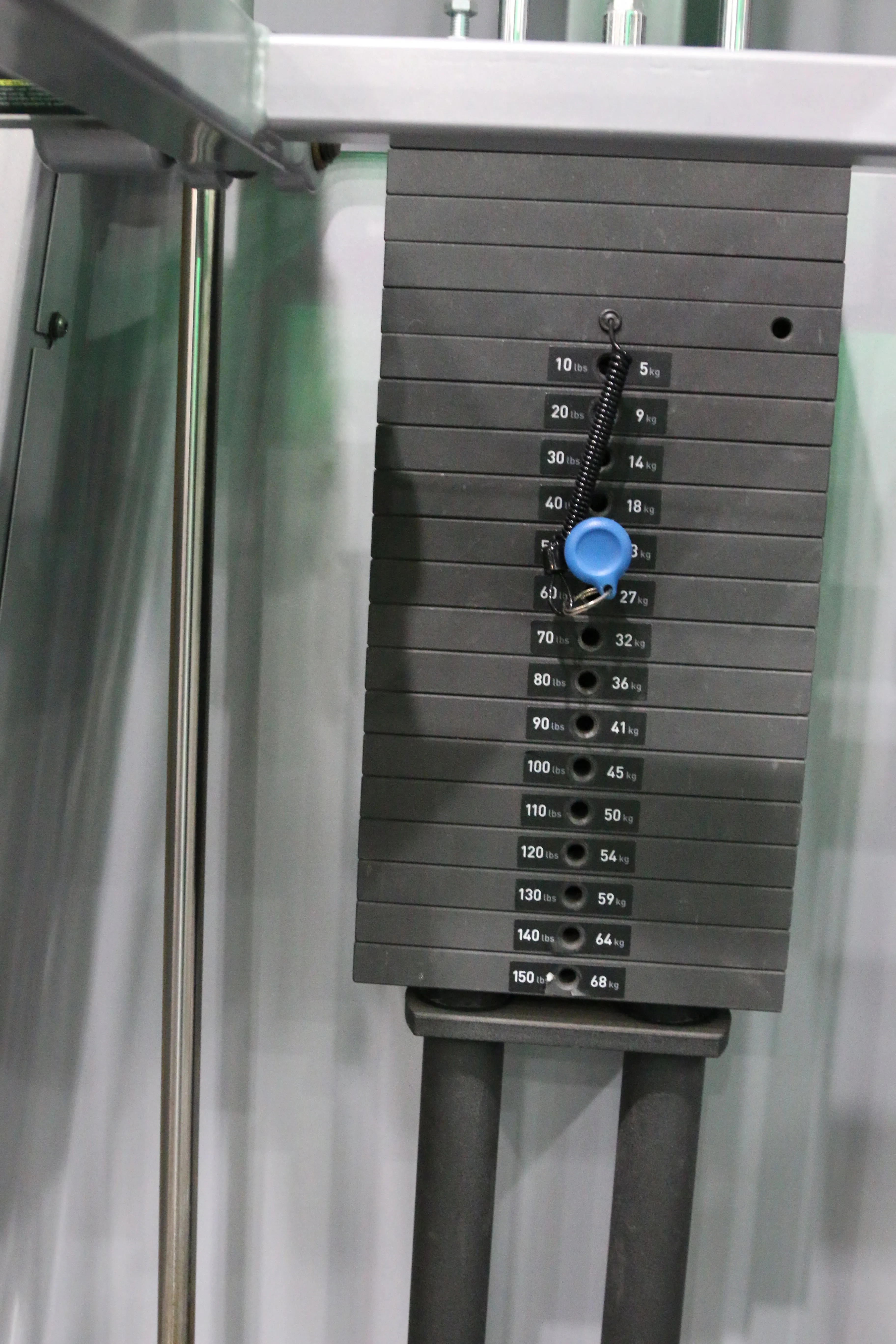Precor Icarian Dip Chin Assist 320 - Icarian Series