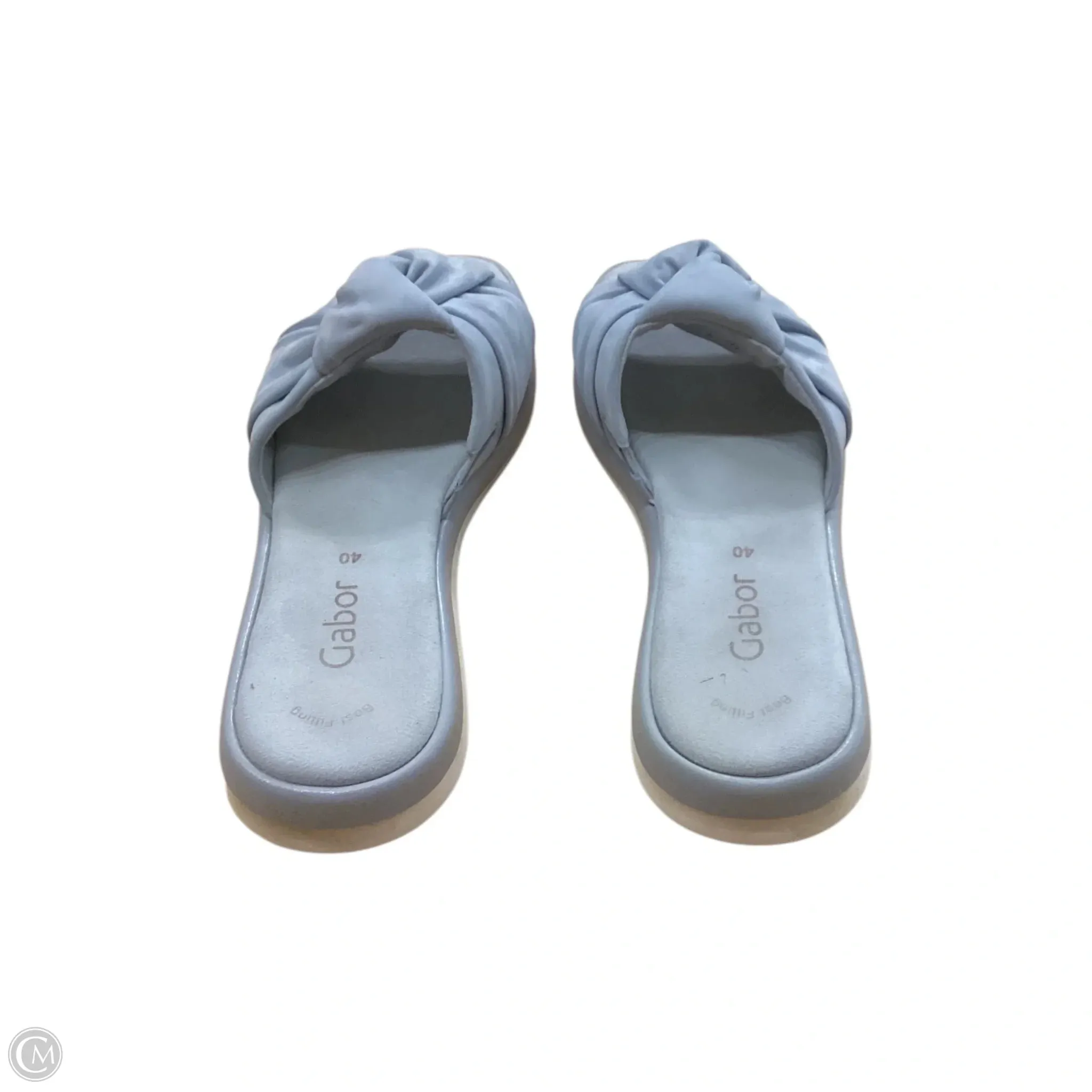 Shoes Flats By Clothes Mentor In Blue, Size: 9