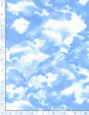 Sky Blue Blue
