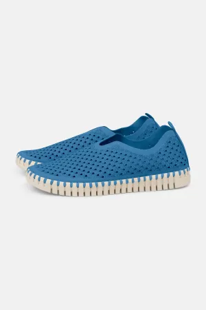 Tulip Skor - Direct Blue
