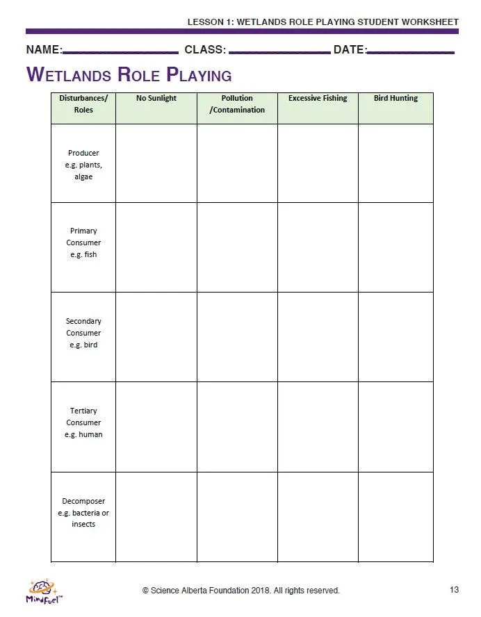 Wetlands - Let's Do Science Bundle