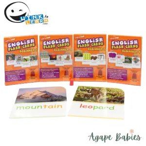 WINK to LEARN English Flash Cards - Beginner Bundle